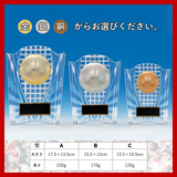 バスケットボール楯 AKV-3458