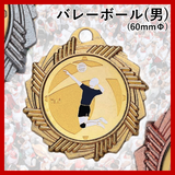 バレーボール(男子)メダル AMV60mm