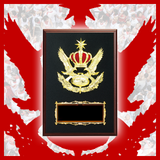 王冠楯② AK-3030