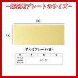 ブロンズトロフィー AB-2001