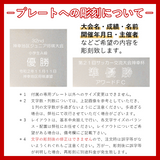 ブロンズトロフィー AB-2003