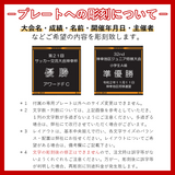 アメフト トロフィー AT-8845