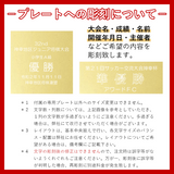 ブロンズトロフィー AB-2002